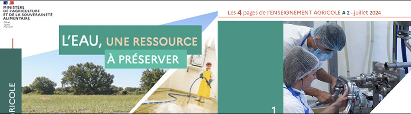 bandeau_blog_actu_wiki_4pages.jpg