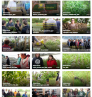 image videotheque.png (23.0kB)
Lien vers: https://www.dailymotion.com/eau-ea