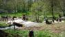 image image_ameliorationdeshydrosystemessurlexploitati_p1140707.jpg (63.7kB)
Lien vers: https://reseau-eau.educagri.fr/?InitiativesLocales